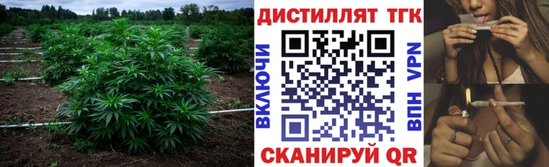 ТГК гашишное масло  это какой сайт  Буй  наркотики 