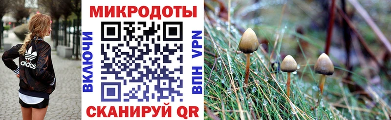 Галлюциногенные грибы Psilocybine cubensis  Буй 